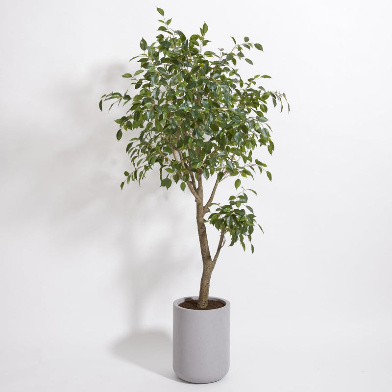 Faux Ficus Tree, Premium Artificial Indoor Plant Stands 6.5’ Tall, Lifelike-Le