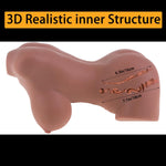 Sex Doll Male Masturbator - Realistic Stroker Boobs and Anal 5.5lb