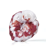 Vulva Masturbation Sex Toy,Flower Of Desire, Aesthetic Humping & Grinding Novelty,Rubbing Pleasure Device With Vibe Hole