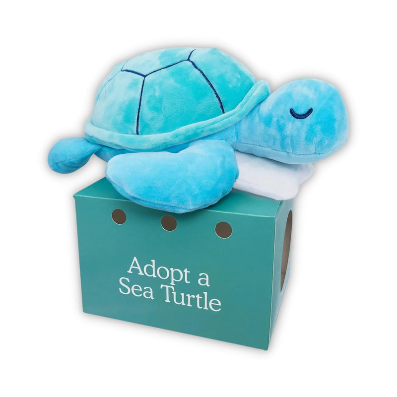 Sam The Sea Turtle Plush With Pillow Accessory 10" Adopt Me Plushies, Stuff