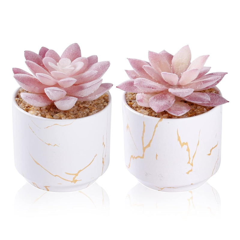Artificial Plants And Succulents In 2 White Ceramic Pots,Small Fake Plants For