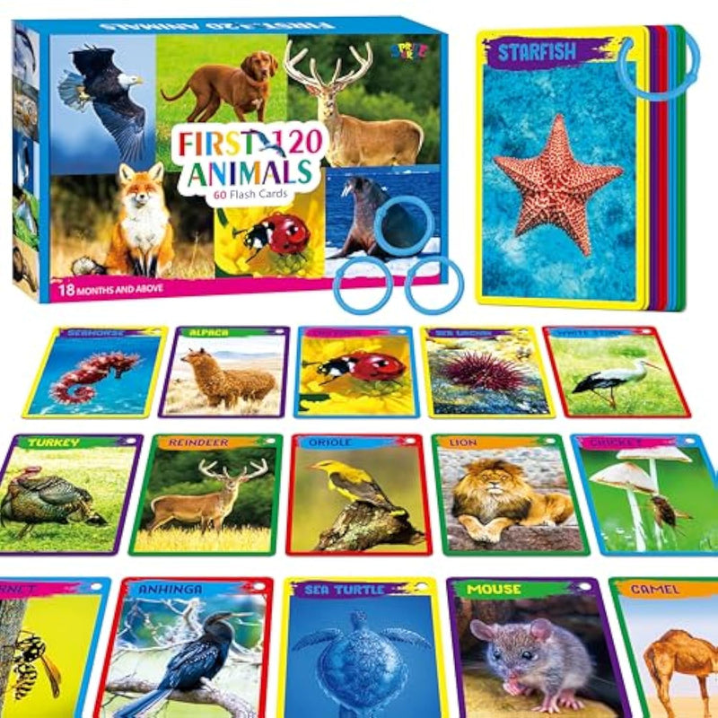 My First 120 Animals, 60Pcs Realistic Zoo Animal Cards Farm/Wild/Marine Animals/Insects/Birds Flashcards Montessori & Science Educational Toys Preschool Learning For Homeschool Preschool Toddler Kids
