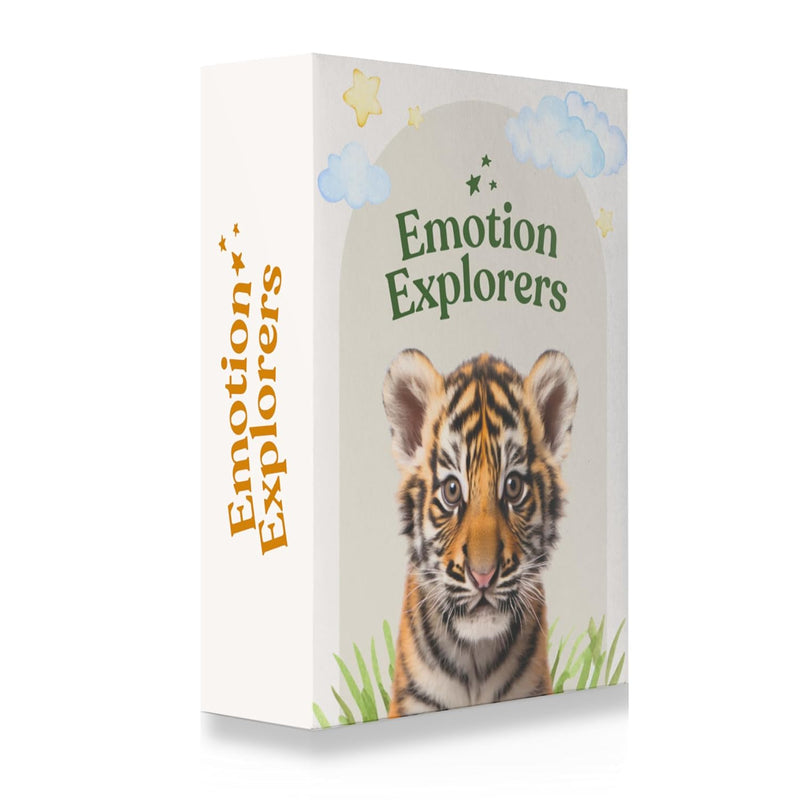 Emotion Explorers 50 Exercises And Reflection Cards Questions For Self Care