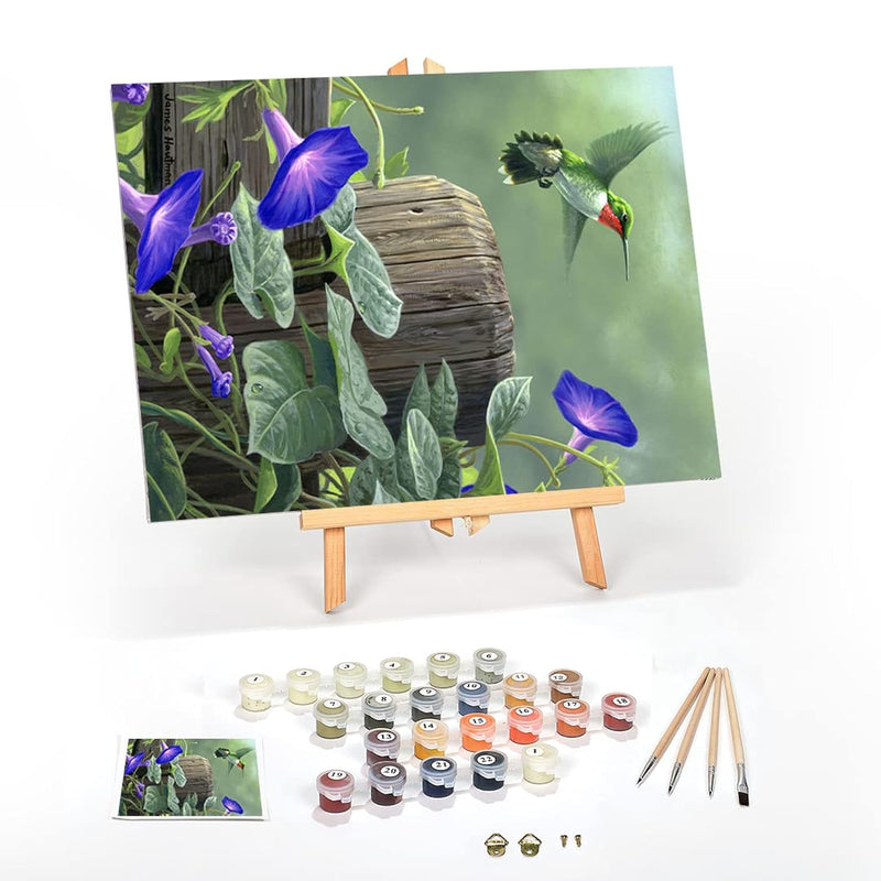 Framed 16x20 Paint by Numbers Kit for Adults Color Paint By Number