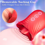 Clitoral & Vagina Sucking Vibrator with 5 & 10 Modes for Quick Pleasure.