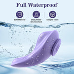 Remote-Control Wearable Panty Vibrator – Dual Motors, Magnetic Clip, 9 Modes