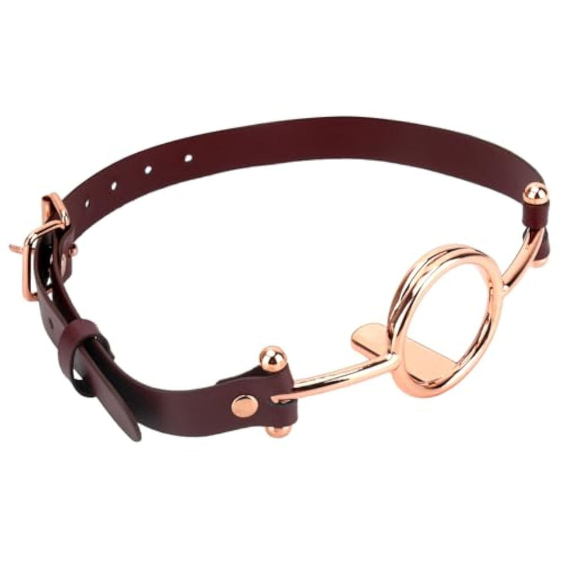 Metal Open Mouth Gag BDSM Oral O Ring Gag, Golden