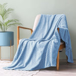 Large Flannel Fleece Throw Blanket, 50X70 Inches Soft Jacquard Weave Leaves Pattern Blanket For Couch, Cozy, Warm, Lightweight And Decorative Baby Blue Blanket