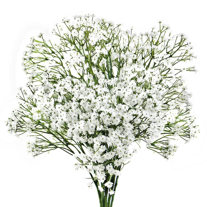 White Artificial Babys Breath Flower Bouquet, 23.6" Long Stem Artificial Gypso
