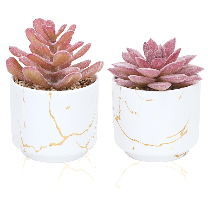 2Pcs Succulents Plants Artificial, Fake Succulents In Ceramic Pots, Fake Plant