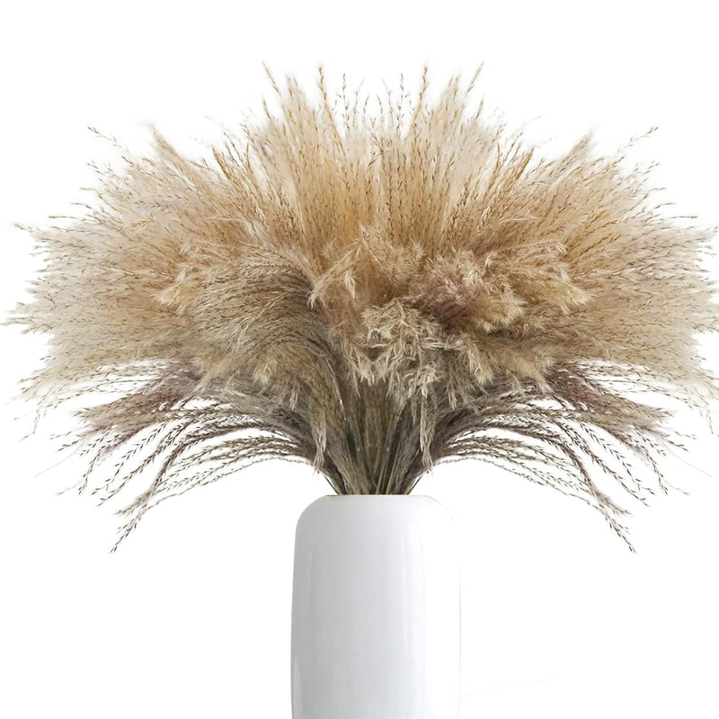100Pcs Natural Dried Pampas Grass Plume 17Inch Tall Dried Flowers Large Faux R