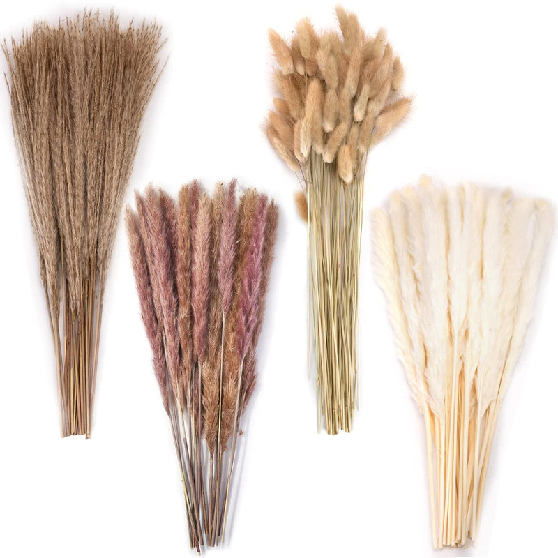 130Pcs Pampas Grass Decor Dried Pampas Grass Contains White Natural Bunny Tail