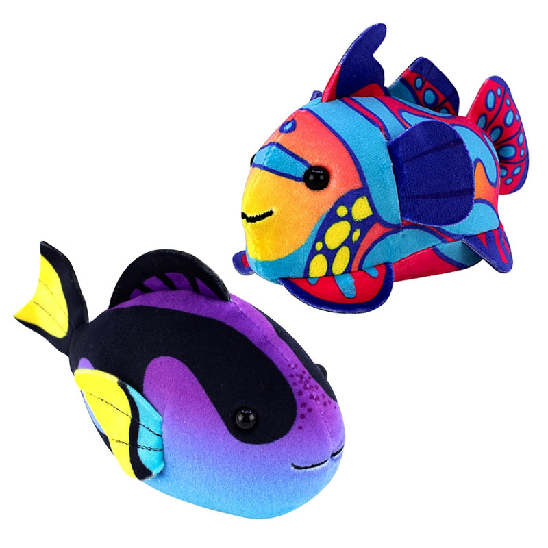 Aquarium Mandarin And Blue Tang Fish