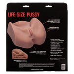 Stroke It Life-Size Pussy - Brown