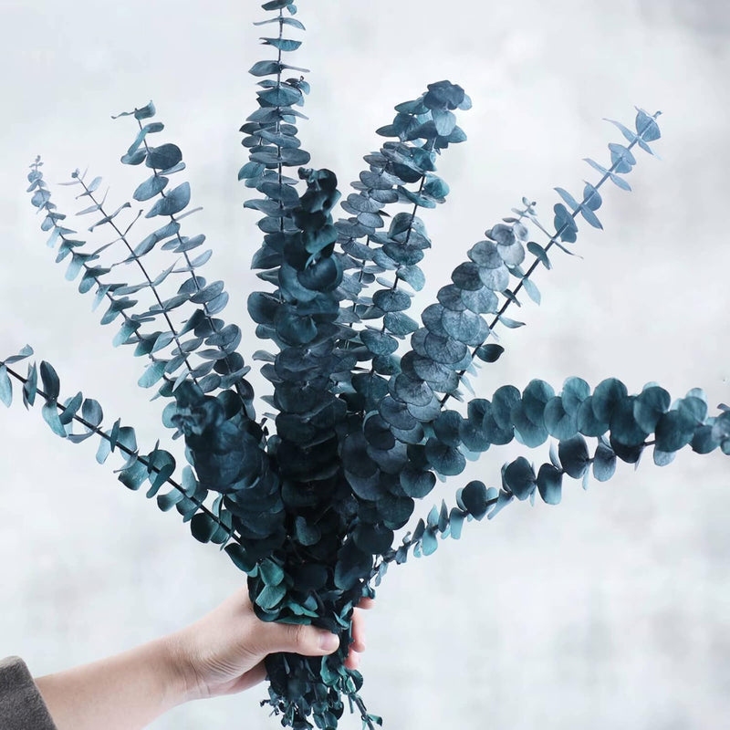 Preserved Dried Eucalyptus Stems Bundle - 12 Pcs Blue Eucalyptus For Shower, 1