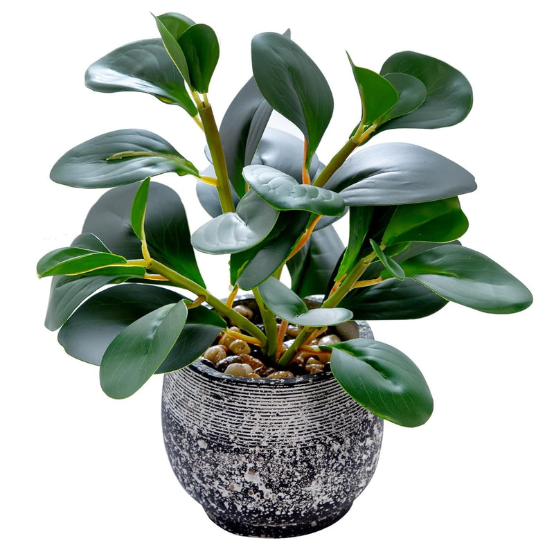 Artificial Plants Potted Real Looking Small Faux Plant With Rustic Black Cemen