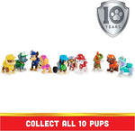 PAW Patrol 10th Anniversary 10-Figure Gift Pack
