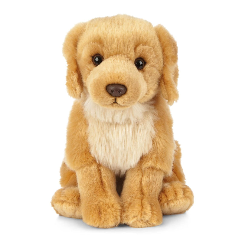 Golden Retriever Stuffed Animal Fluffy Dog Animal Soft Toy Gift For Kids 8