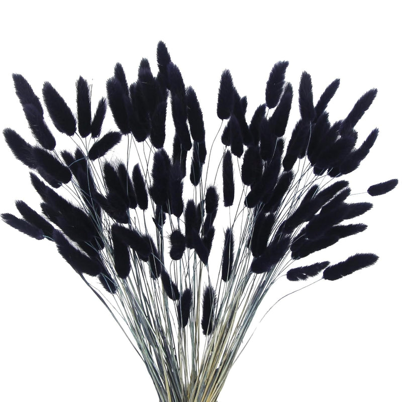 120Pcs Dried Bunny Tails Flowers Lagurus Ovatus Tail Dried Flowers Pampas Gras