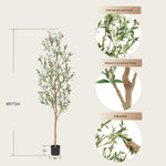 Faux Olive Tree 6ft，Olive Trees Artificial Indoor with Natural Wood Trunk and Realistic Leaves and Fruits. 6 Feet(72in) Fake Olive Tree for Home House Office Décor.
