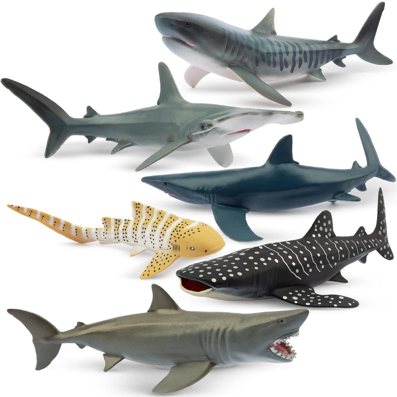 Toymany 6PCS 5-6" L Realistic Shark Bath Toy Figurines, Plastic Ocean Sea A