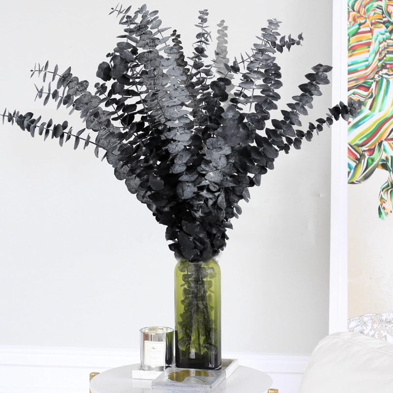 15 Pcs Real Black Eucalyptus Stems - 17” Preserved Eucalyptus Leaves Branches,