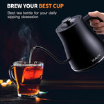 Electric Gooseneck Kettle Ultra Fast Boiling Hot Water Kettle 100% Stainless Steel for Pour-over Coffee & Tea, Leak-Proof Design, Auto Shutoff Anti-dry Protection, 1200W-0.8L, Matte Black