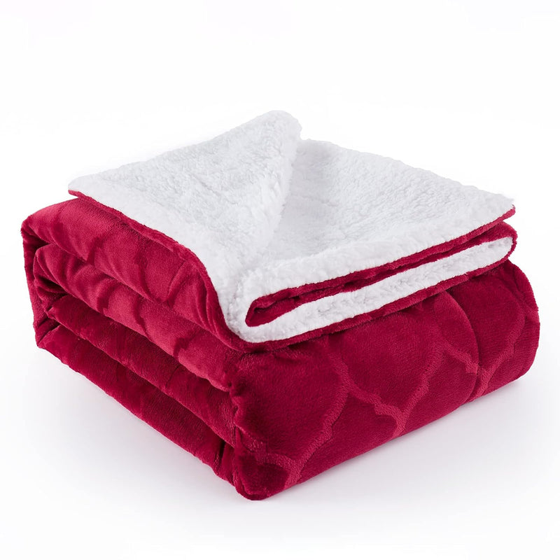 Sherpa Throw Blankets, Plush Warm Throw Blankets For Adults, Microfiber Soft T
