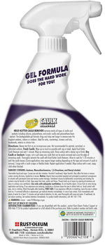 Caulk Remover, 24 oz, 1 Count (Pack of 1)