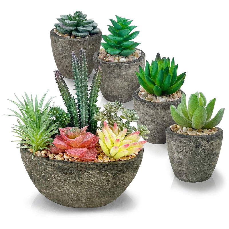 Succulents Plants Artificial Set Of 5, Realistic Fake Succulents With Cement L