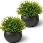 Artificial Plants for Office Décor, Desk Plant Decor, Office Desk Decor, Bathroom Shelf Decor - Masculine Home Decor, Mini Faux Plants Indoor, Small Fake Plant Greenery (2 Pack)