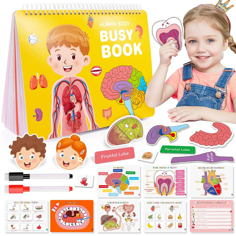 Preschool Montessori Toys For Kids, Human Body Busy Book For Kids Toys Ages