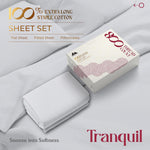 800-Thread-Count Cotton Sheets, Egyptian Quality Long Staple Cotton Sheets For Queen Size Bed In Cool Silver Color, Fits Mattress Upto 16'' Deep Pocket, Packaging May Vary