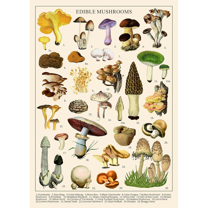 Vintage Mushroom Puzzle 1000 Pieces For Adult, Vintage Fungi Jigsaw Puzzle