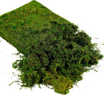 Artificial Moss, 16OZ Fake Moss for Crafts, Decorative Moss for Table Centerpieces Fairy Garden Wedding Party Decor, Faux Moss for Potted Plants, 455gr (Fresh Green)