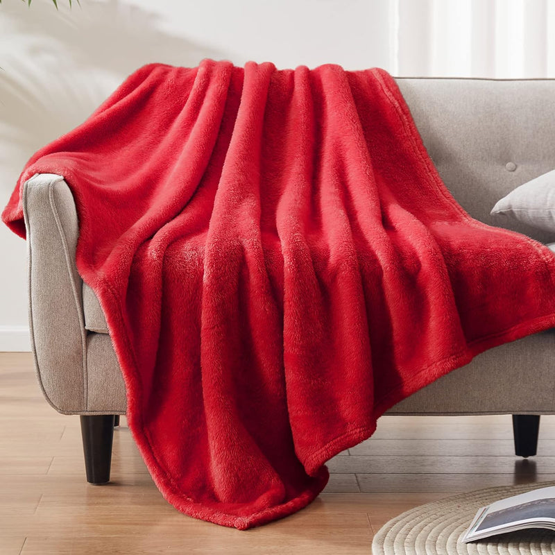 300Gsm Plush Fleece Throw Blanket For Couch(50X70 Inch), Soft Fuzzy Blanket Fo