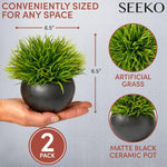Artificial Plants for Office Décor, Desk Plant Decor, Office Desk Decor, Bathroom Shelf Decor - Masculine Home Decor, Mini Faux Plants Indoor, Small Fake Plant Greenery (2 Pack)