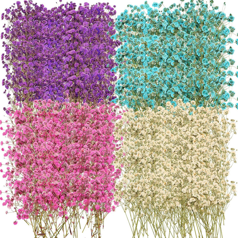 200 Pcs Dried Baby'S Breath Flowers Preserved Baby'S Breath Pressed Gypsophila