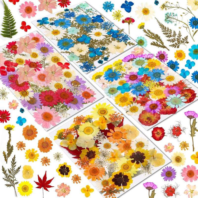 Real Dried Pressed Flowers For Resin, Natural Dry Flowers Leaves Bulk Herbs Ki