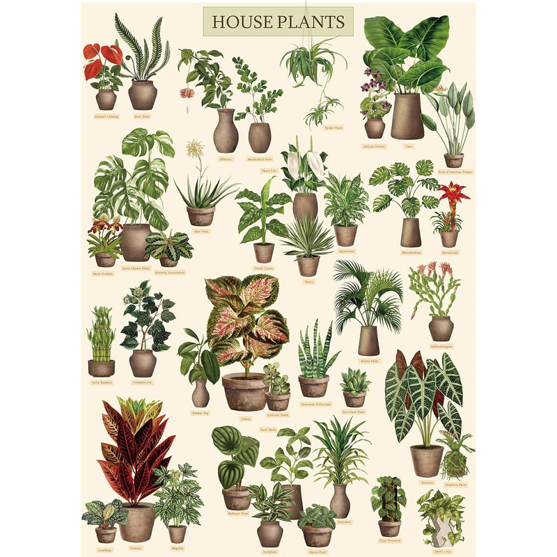 Vintage Houseplant Puzzle 1000 Pieces For Adult, Botany Succulent House Pla