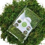 Artificial Moss, 16OZ Fake Moss for Crafts, Decorative Moss for Table Centerpieces Fairy Garden Wedding Party Decor, Faux Moss for Potted Plants, 455gr (Fresh Green)