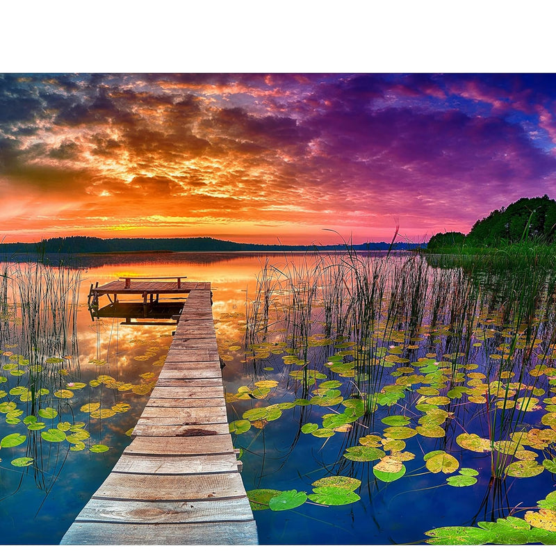 Puzzles For Adults 1000 Pieces 20X30 In Hd Quality Landscape 1000 Piece Puz