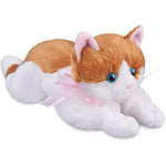 Multiple Cute Plushie Cat Stuffed Toys