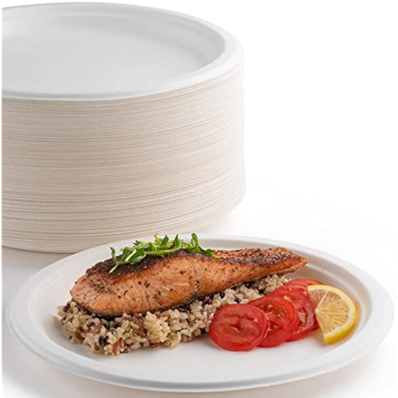 10 In Disposable Paper Plates Pack Of 110