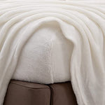 Extra Soft Velvet Plush Micro Fleece Sheet Set