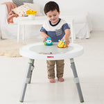 Baby Activity Center Interactive Play Center With 3 Stage