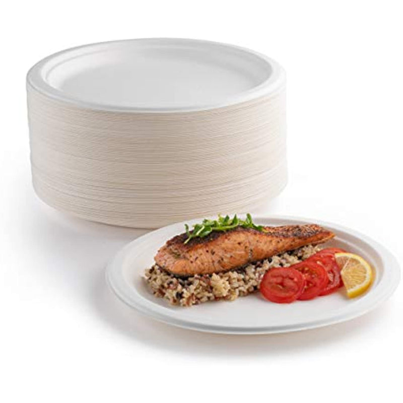 9 In Disposable Paper Plates Pack Of 60
