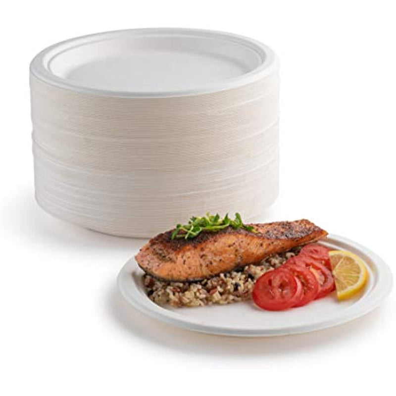 10 In Disposable Paper Plates Pack Of 60