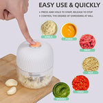 Electric-Food-Chopper-Glass-Bowl-for-Meat,-Vegetables,-Onions-&-Garlic