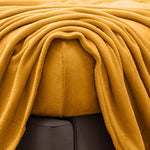 Extra Soft Velvet Plush Micro Fleece Sheet Set